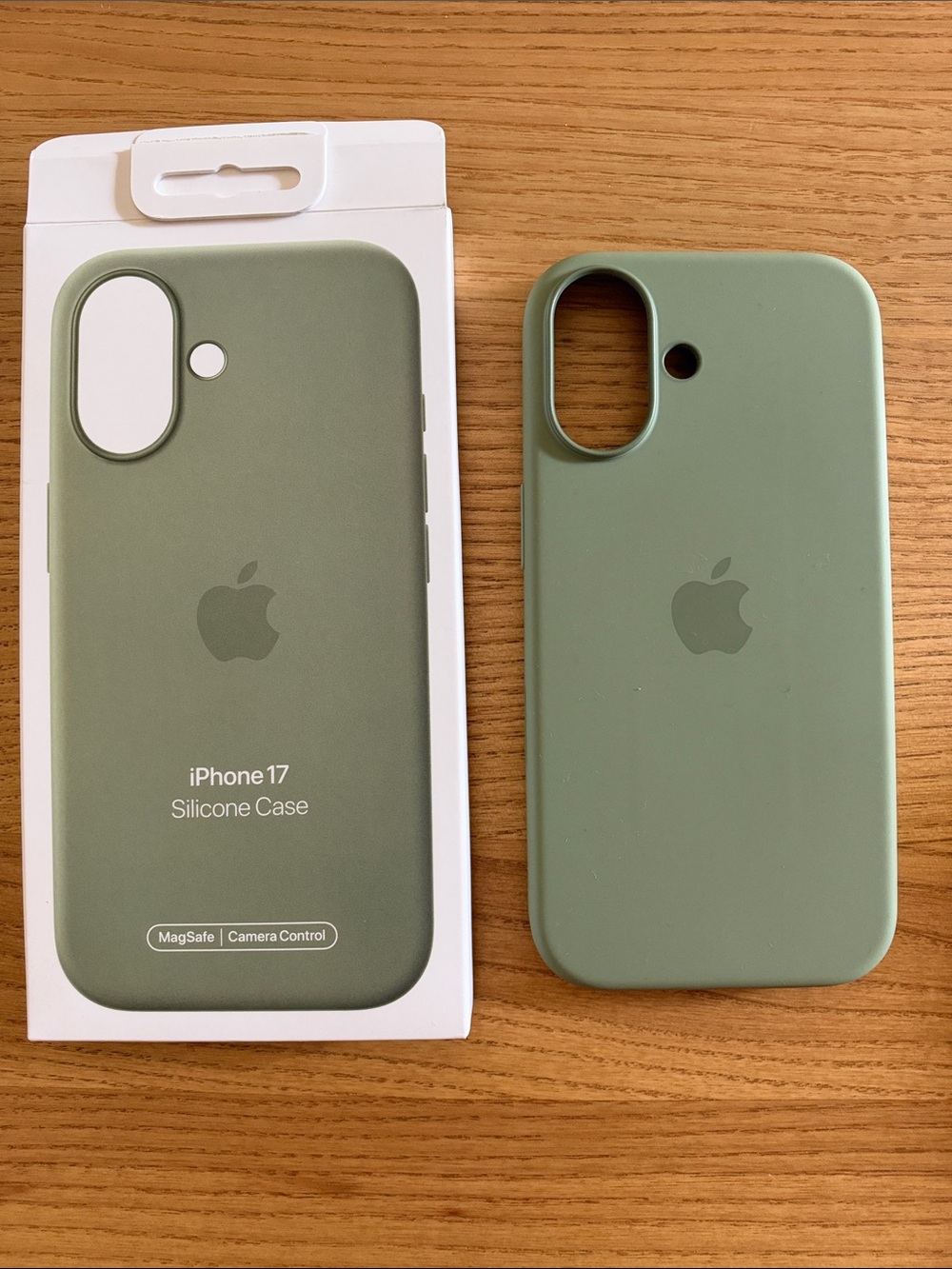 iPhone 17 silicone case